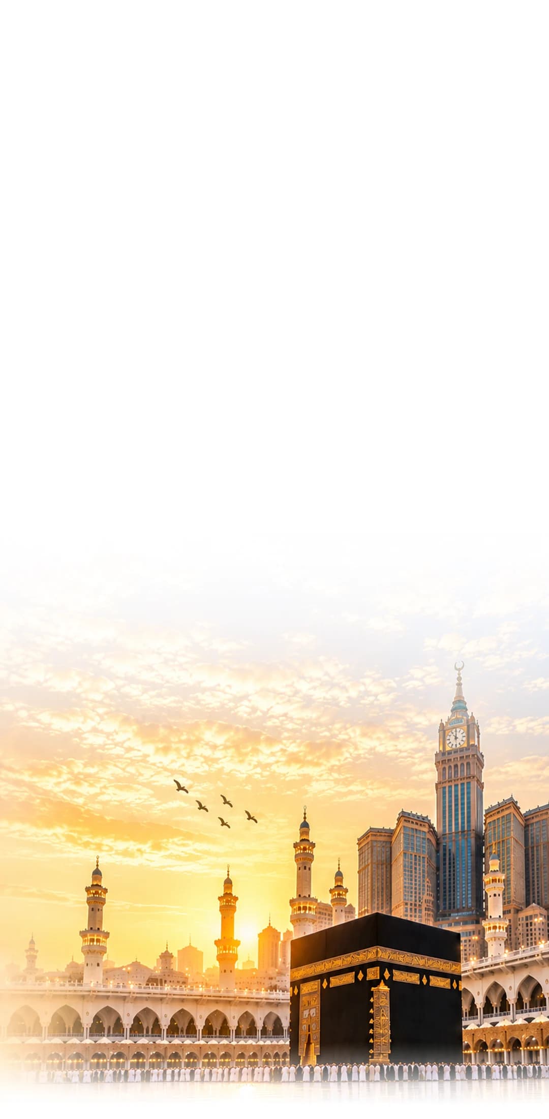 Airplane in flight, best flight offers hero background